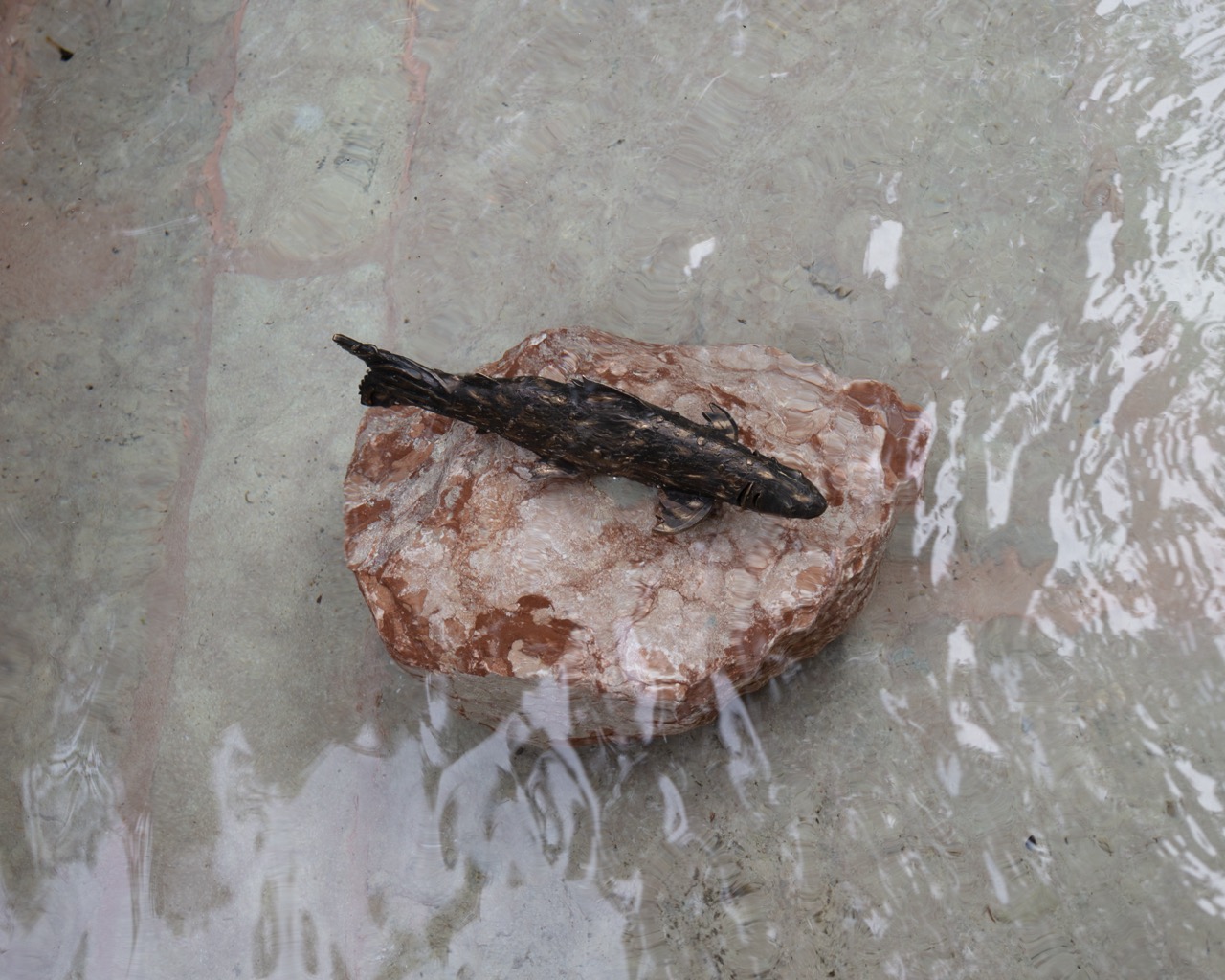 Bronze fish sculpture on stone, placed in fountains