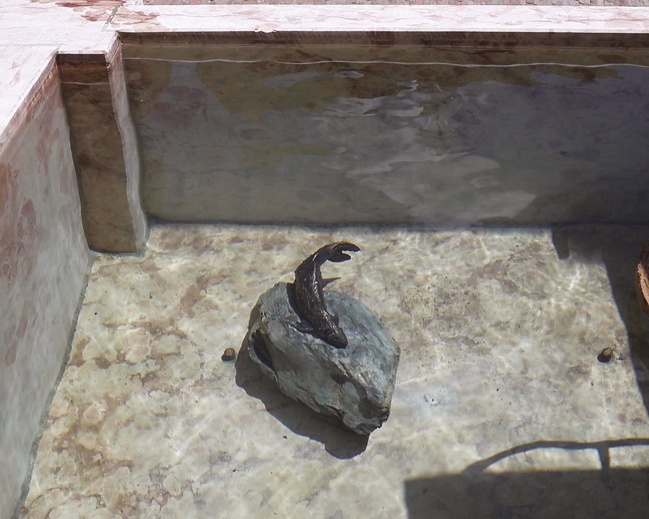 Bronze sculpture of alpine fish placed on stone and in fountain, underwater photograph