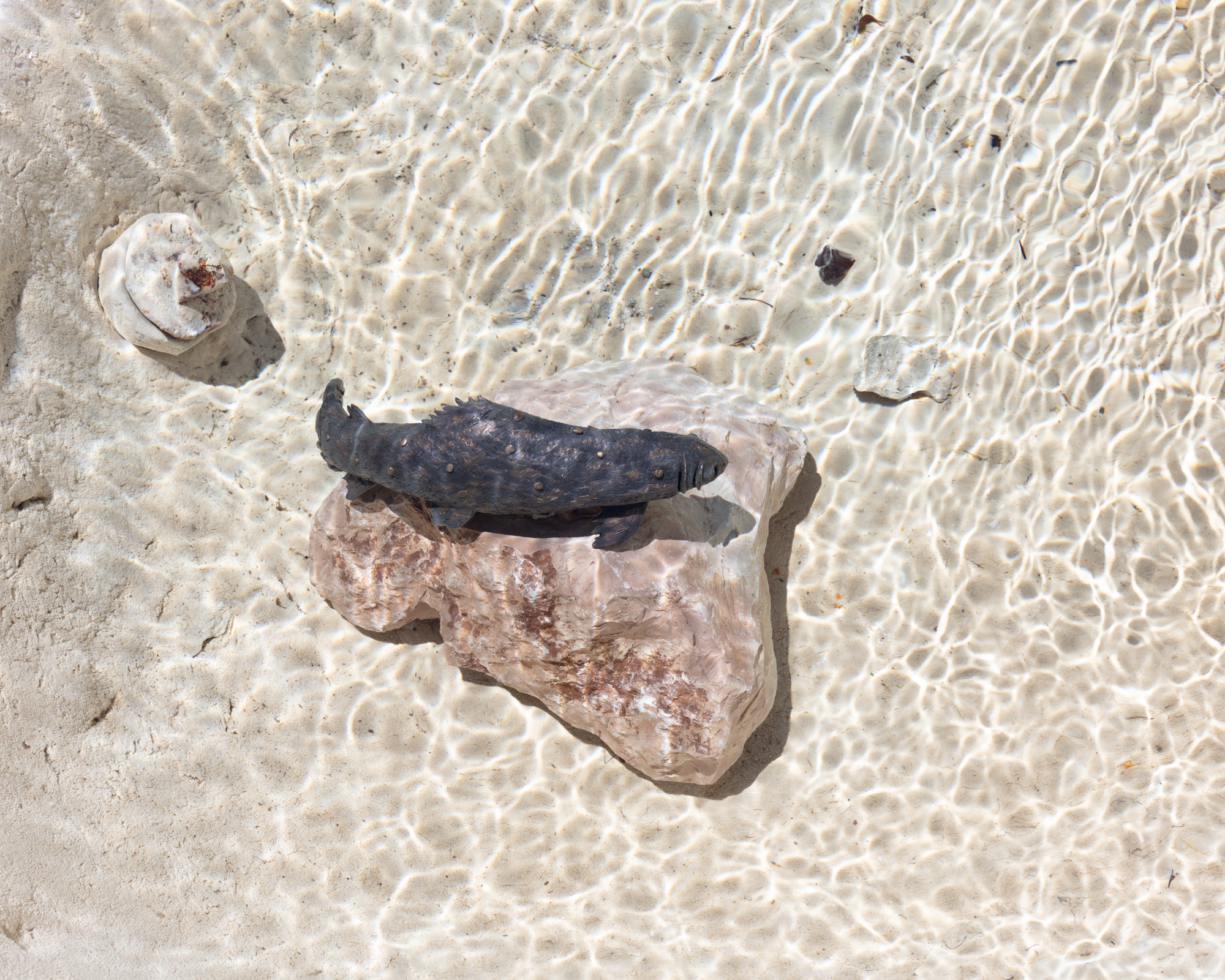 Bronze alpine char stature in rock, placed in fountain. Underwater photograph